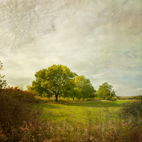 cloud sunlight france field french landscape textured watermeadow memoriesbooktrees