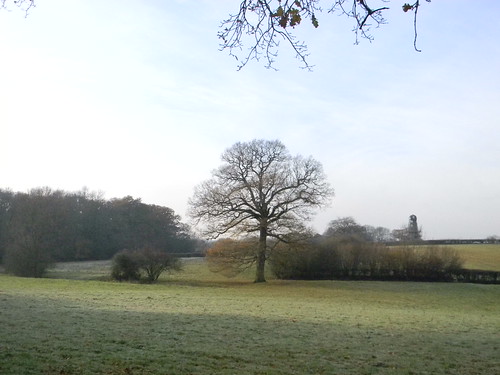 Frosty field with windmill Ockley to Warnham