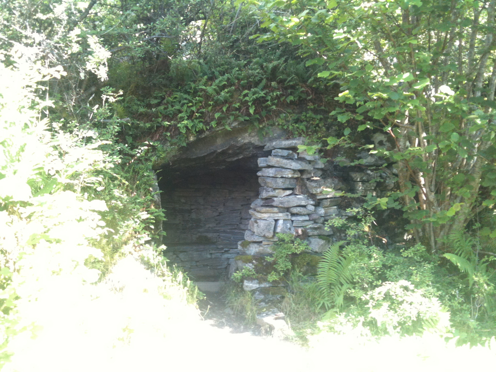 A stone cave on the forest path