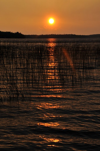 sunset lake ontario canada water grass thunderlake aaronprovincialpark