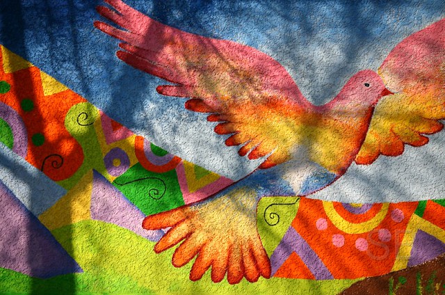 peace dove rainbow