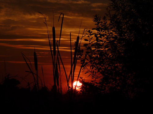 P1040034 by morta73, Prove di controlucesunset