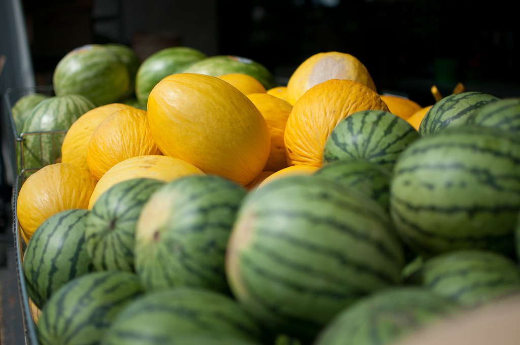 Melons at Jean-Talon Market, Montreal, Canada