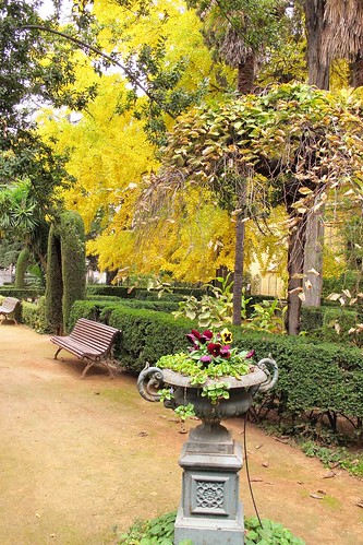 Jardin Botanico -
