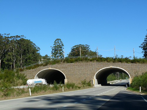 wildlife crossing | by sth475
