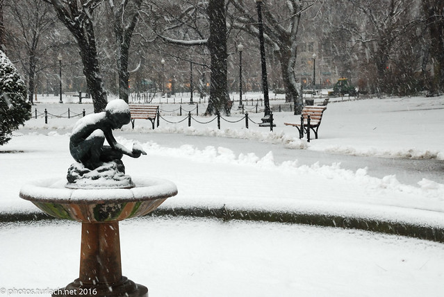 Boston Public Garden in Snow -  3