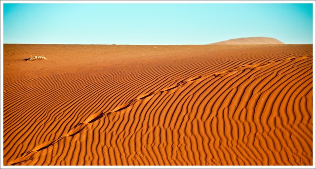 Desert patterns