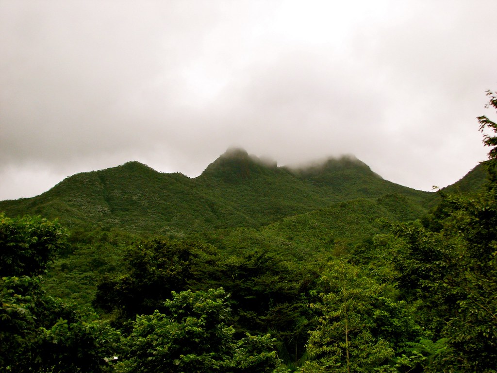 El Yunque Rainforest