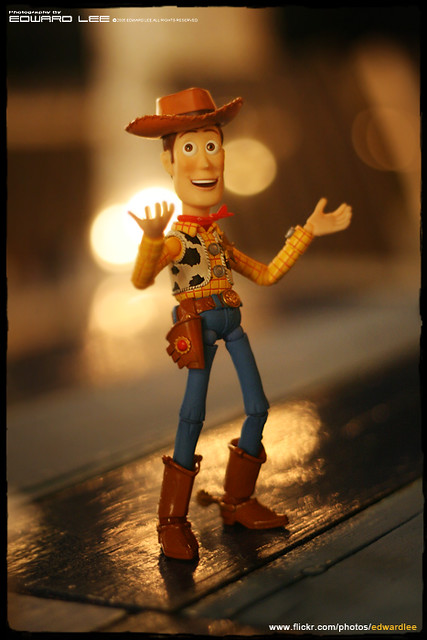 Revoltech Woody (TOY STORY)