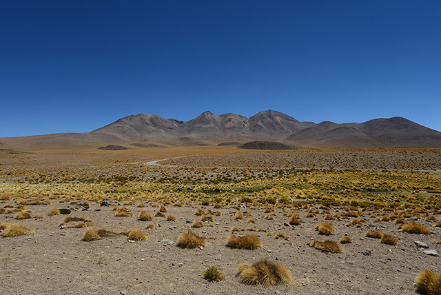 Bolvian Desert, Bolivia