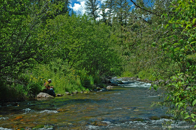 Solitude On Big Creek