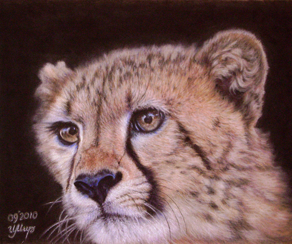 My totem animal. Cheetah | Pastel painting. 24x30 cm. Thanks… | Flickr