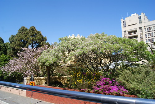 Cape Town