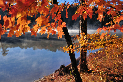autumn fall raleigh fallslake