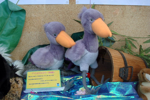 "Stuffed" Shoebills | by nevakee