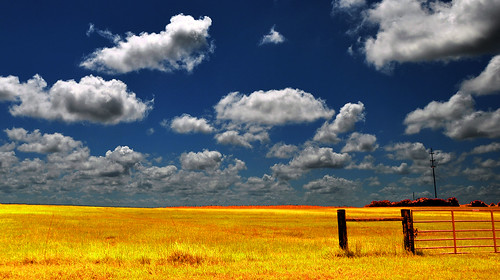 blue sky sun hot field grass yellow clouds gold day shine open florida space country sunny heat utata sizzle brooksville