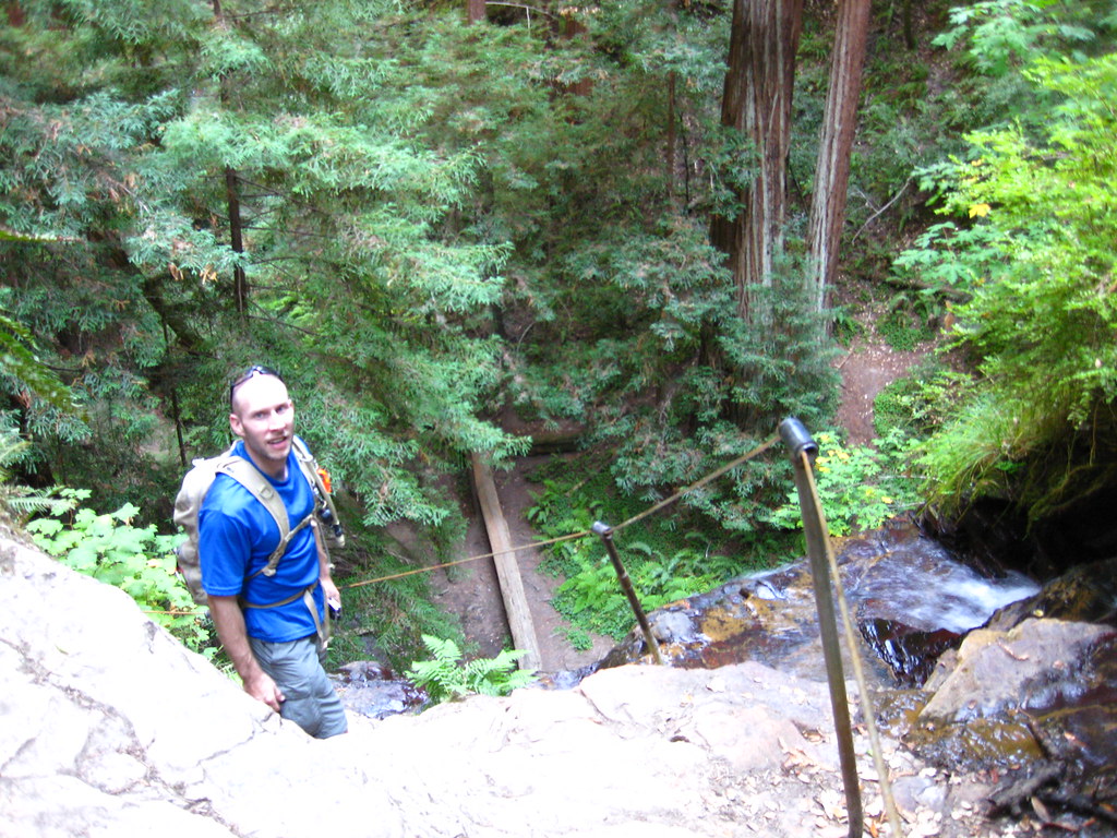 Big Basin/Berry Creek Falls