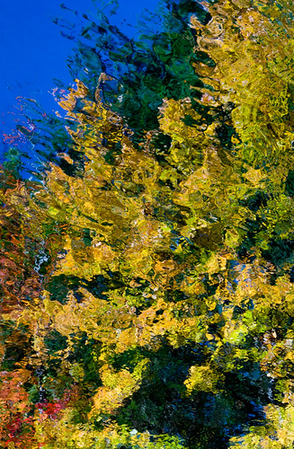 watercolor, autumn abstract color reflection fall nature water leaves river foliage blackwaterriver monetesque notaphotoshopeffect andovernh