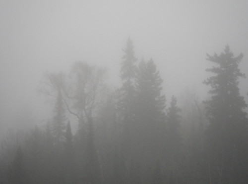 Fog | by eol