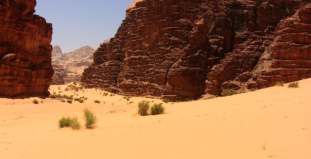JORDANIEN - Wadi Rum - 919