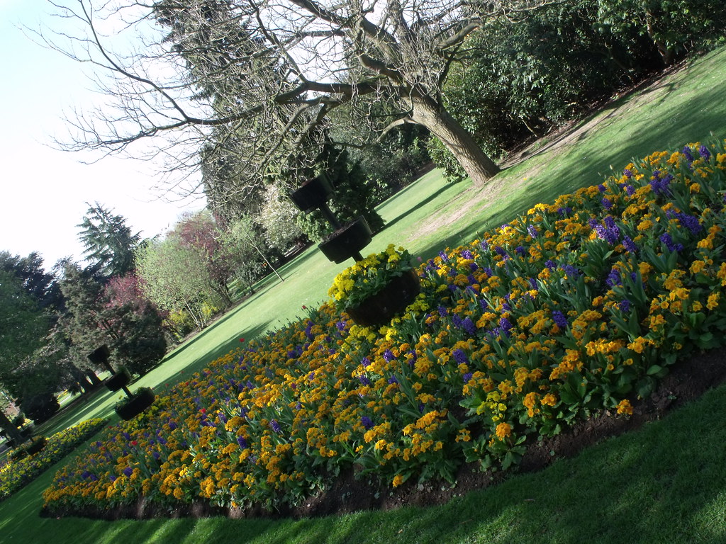 Cannon Hill Park - Spring flowers