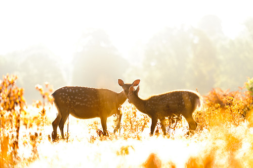 is this what heaven looks like? by andrew evans.