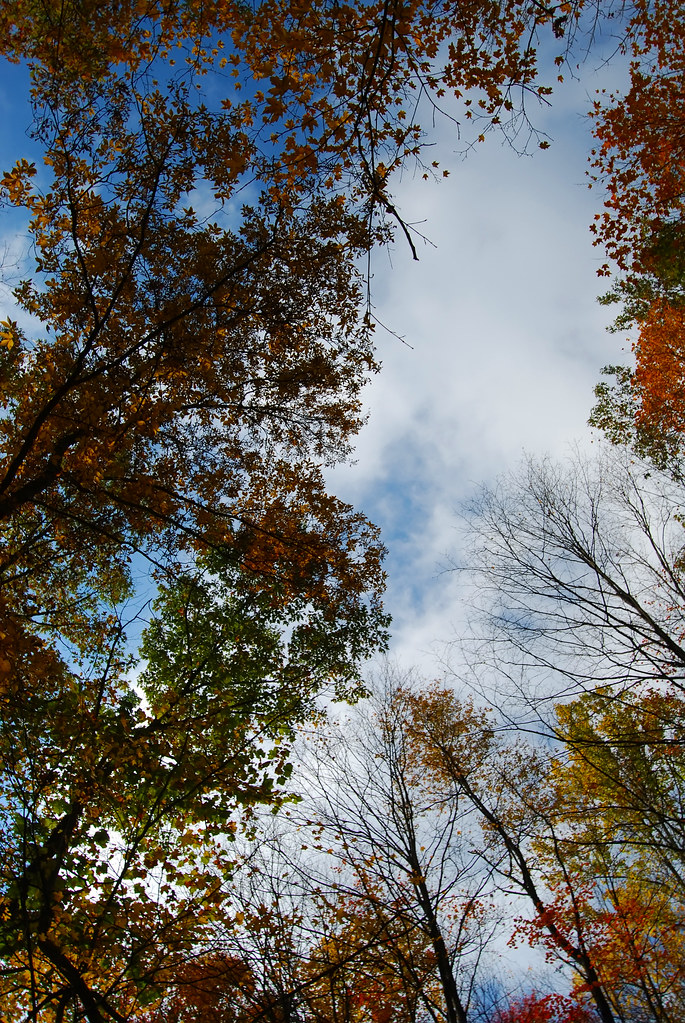 Wild Oaks Loop