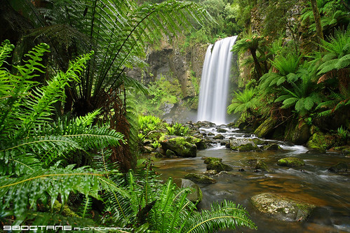 Lush rainforest paradise | by 98octane