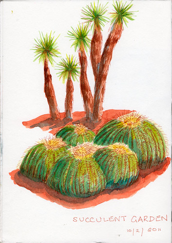 The Succulent Garden | by quirkyartist