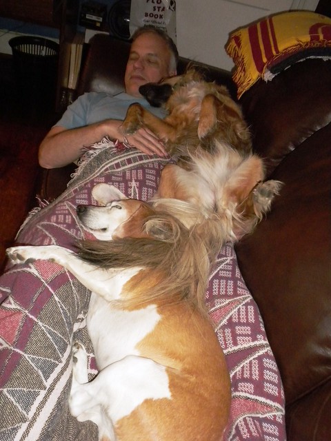 two-dog nap