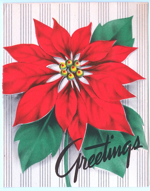 Poinsettias over lined background