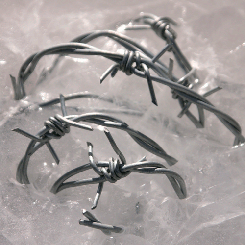 Barbed Wire Frozen In Ice