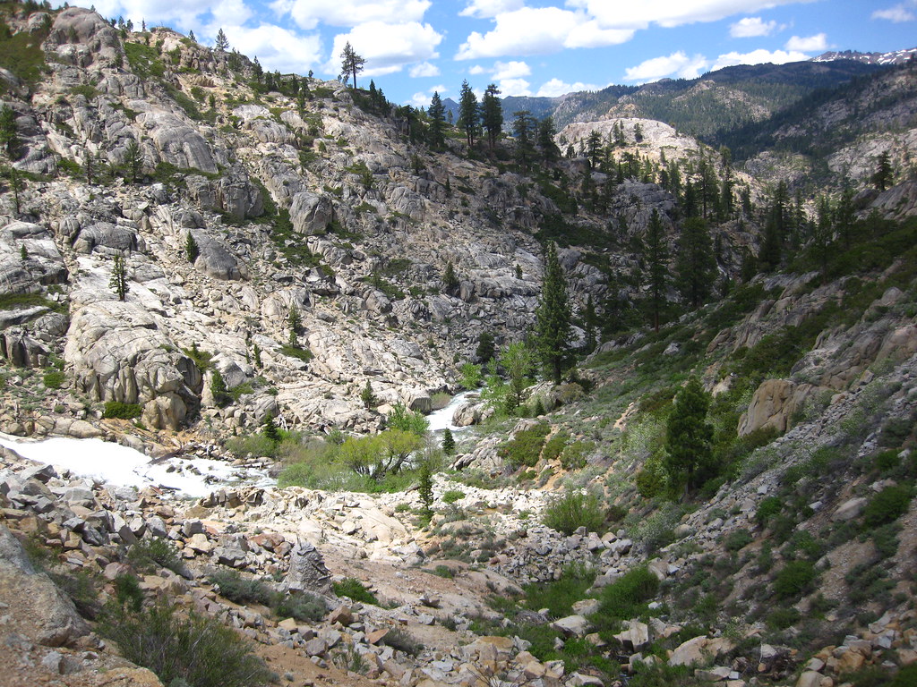 Camping at Pigeon Flat