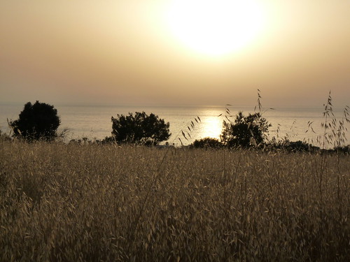 sunset sea summer holiday june marina island greek lumix golden mediterranean cyprus panasonic 2010 agia dmcfz28 nix5