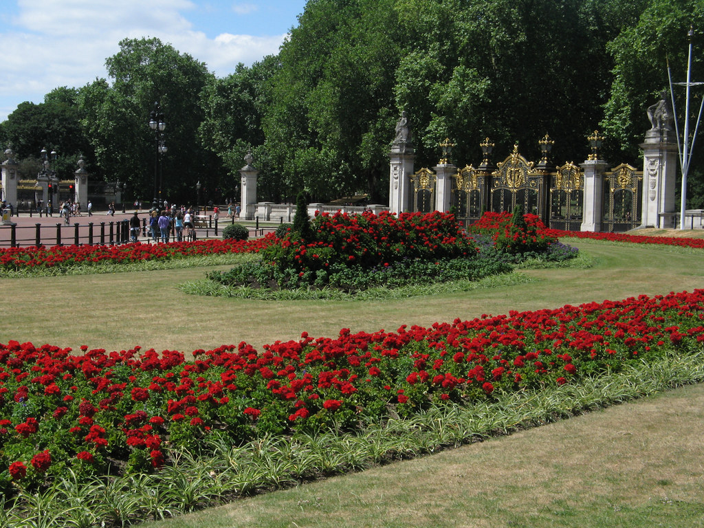 Buckingham Palace Rose Garden London In Photos – July, August,