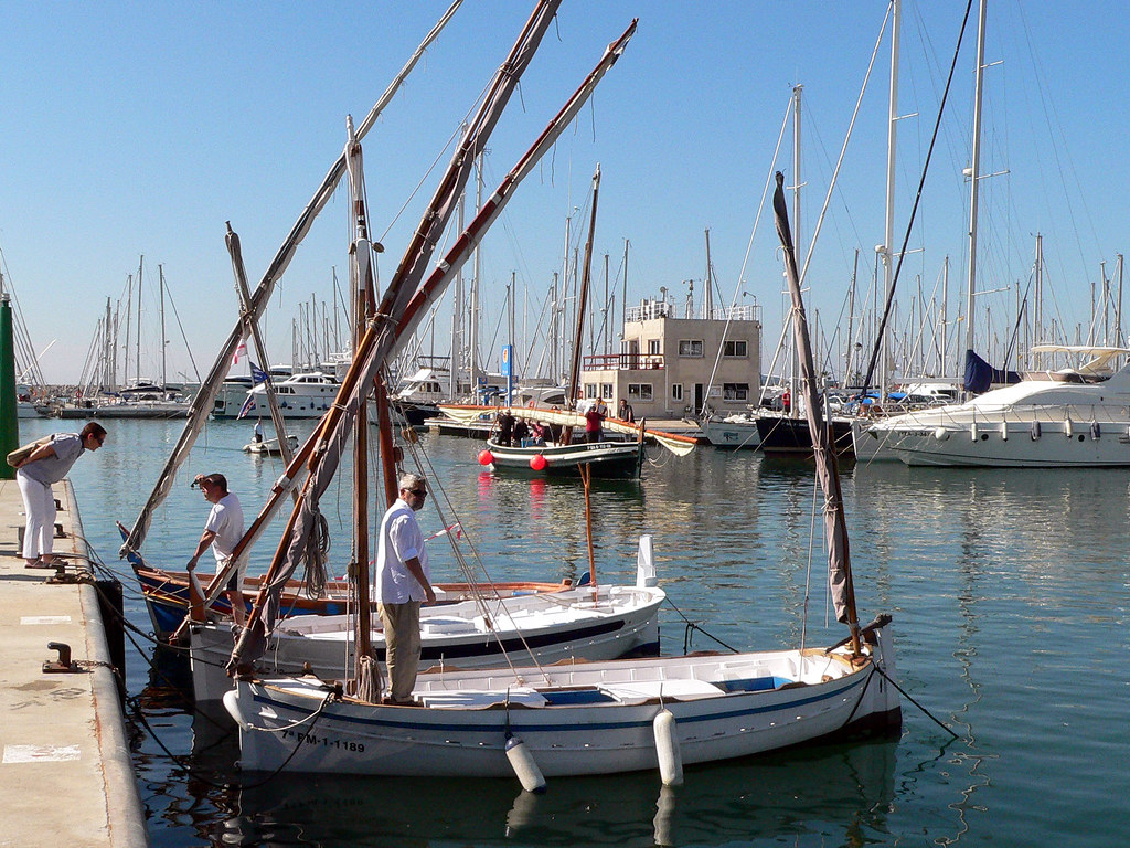 Llatines al port de Vilanova | Joan Sol | Flickr
