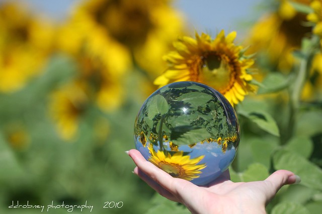 Crystal Ball series #3 - she's got the whole world in her hand.