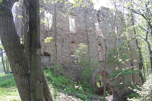 Mill Ruins, Royalton, NY.