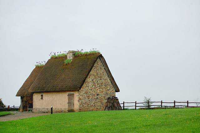 Le toit aux fleurs - Baie du Mont-Saint-Michel - (Manche)