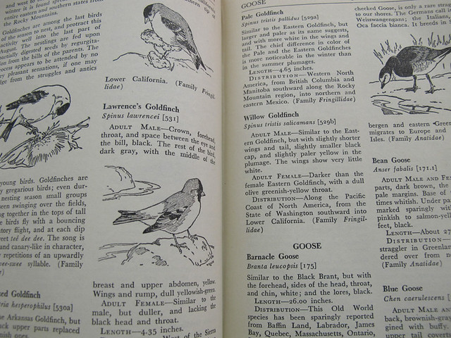vintage books - field guide - bird watching | Come visit: ST… | Flickr