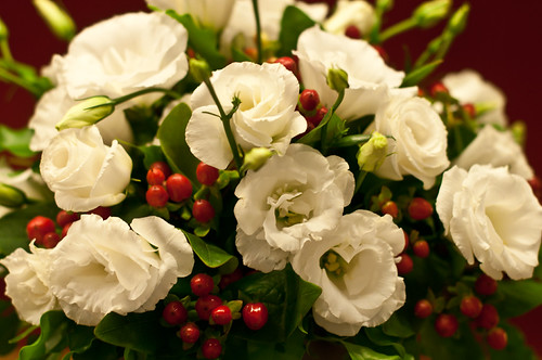 sensitive and delicate | by Umberto Fedele