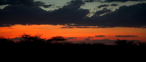 africa sunset nature silhouette night landscape outdoors landscapes outdoor namibia