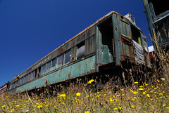 20100731 Abandoned California Western Car