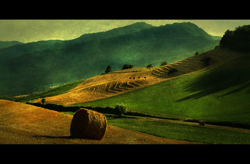 textured landscape by www.davidbutali.net