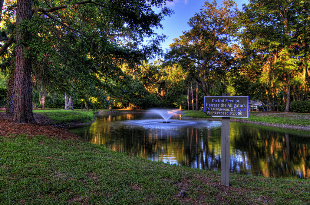 HDR - DO NOT FEED THE GATORS by michaeledunn2457
