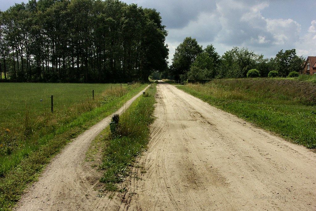 One of the many dirtroads with cycle-path we have around Winterswijk by joeke pieters