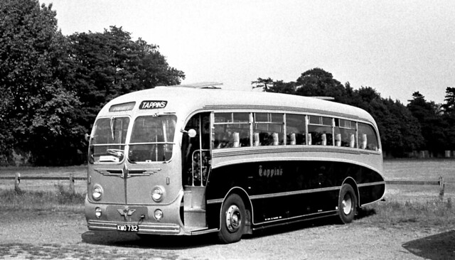 Tappin, Wallingford KMO732 1955 AEC MU3RV Burlingham C41F on Hampton Court Green