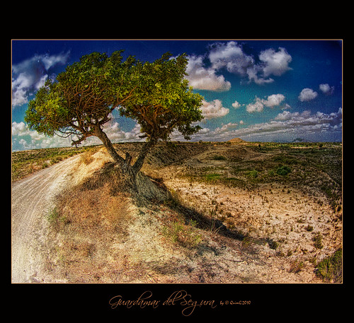 paisajes geotagged landscapes spain europe favorites olympus fisheye textures agost paisatges alacant paísvalencià guardamardelsegura specialtouch quimg thedavincitouch poblesdalacant quimgranell joaquimgranell afcastelló obresdart