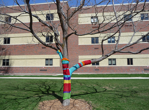 Campus Knit-Wit