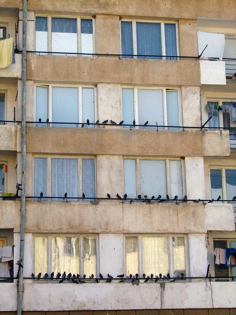 Птици и прозорци Златоград 2007 г. Birds and windows Zlatograd Bulgaria